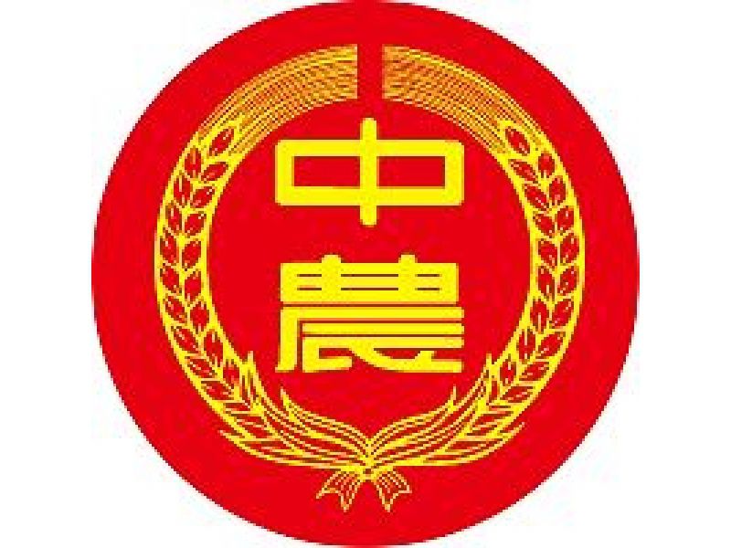 中農粉絲